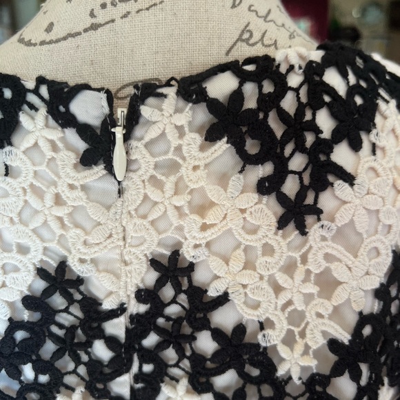 Talbots Chevron-herringbone Graphic Ivory Casual Dress size 8. - Picture 9 of 16